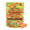 MANGO MADNESS INFUSED GUMMIES