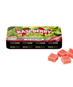 RASPBERRY LIME INFUSED GUMMIES