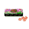 SOUR WATERMELON INFUSED GUMMIES