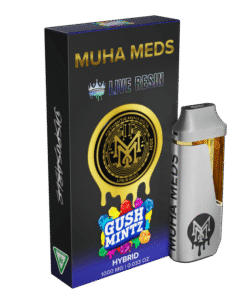 GUSH MINTZ | HYBRID 1000MG LIVE RESIN THC
